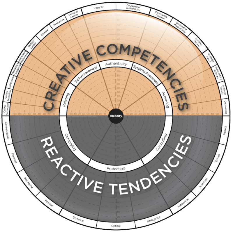 Assessment leader insight leaders