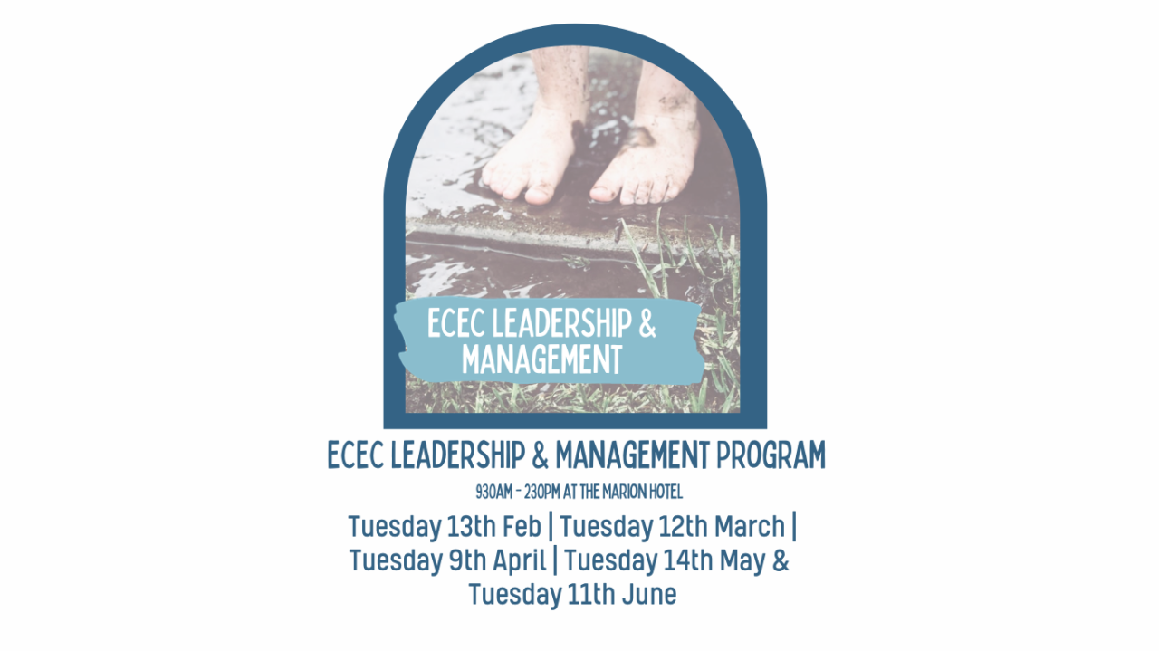 Leadership in ece