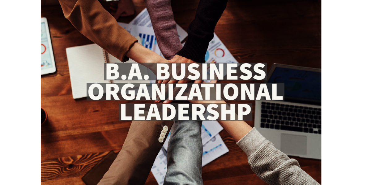 Leadership organizational