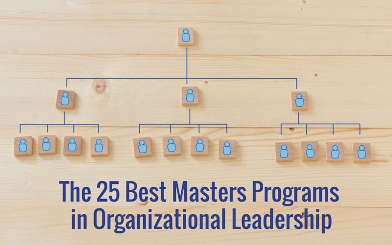 Leadership online organizational masters degree master degrees business public programs pursue why