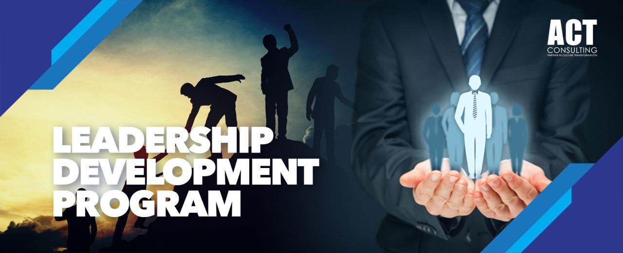 Leadership development program programs plan curriculum