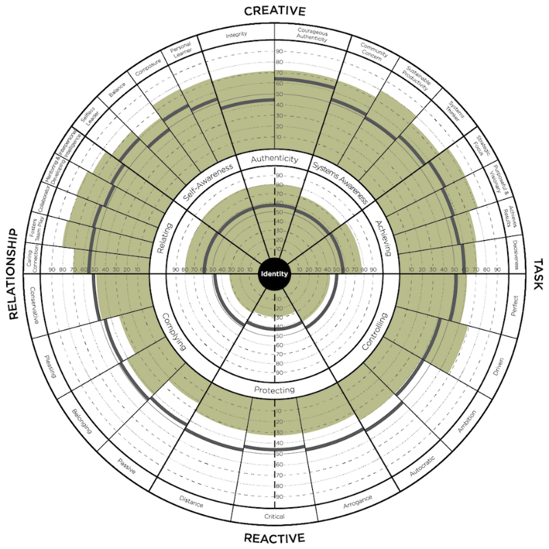 The leadership circle profile