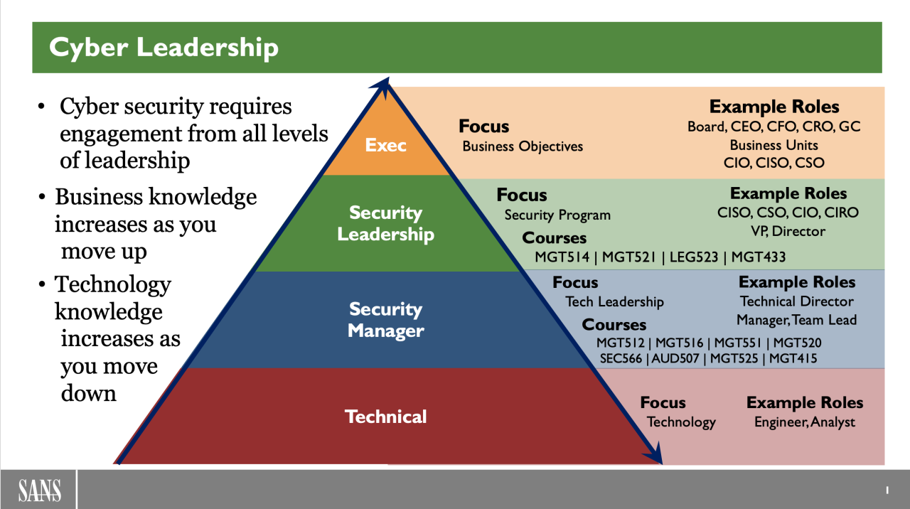 Cyber security leadership training