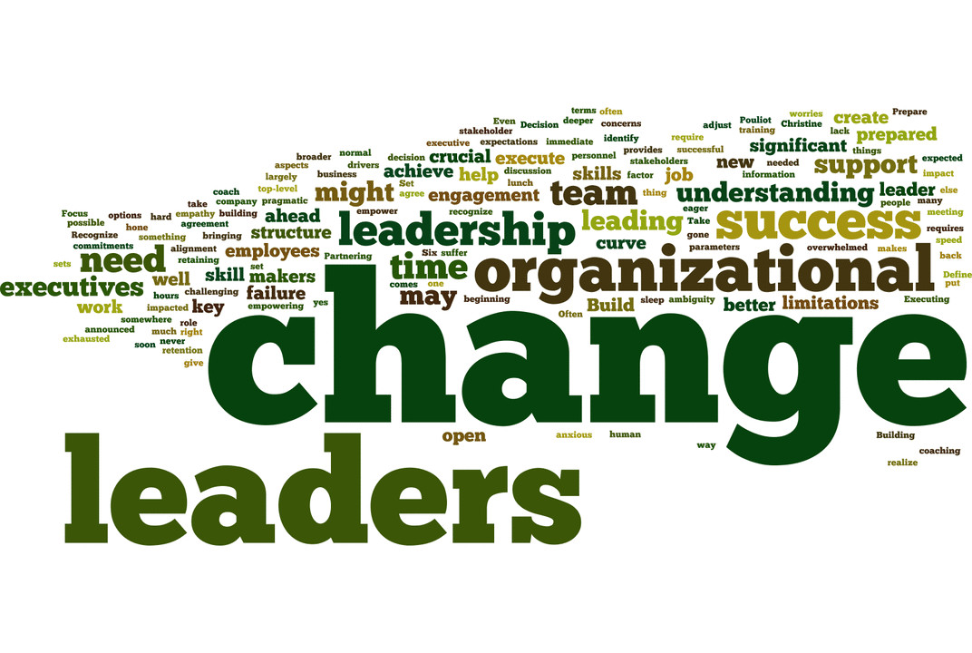 Usc organizational change and leadership