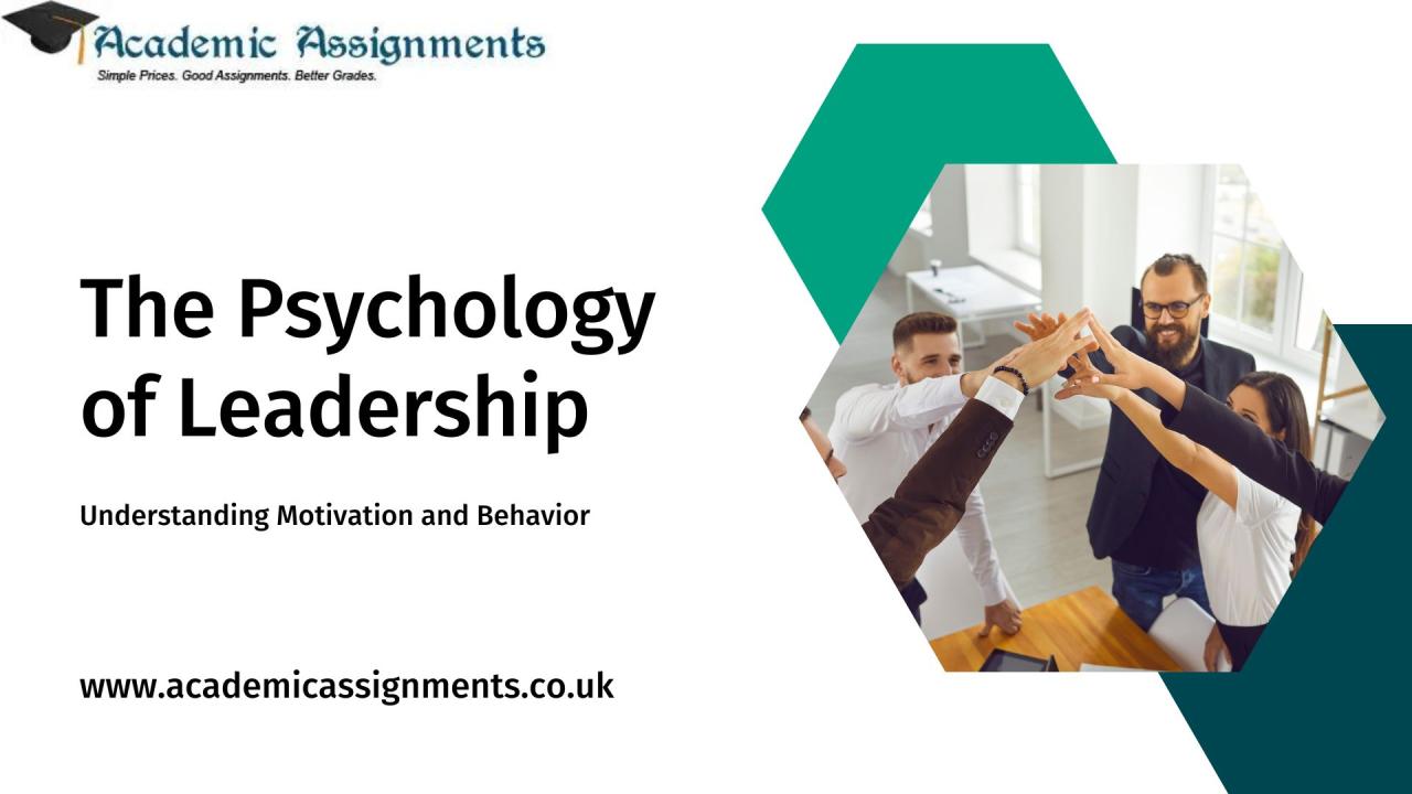 Psyd in behavioral health leadership