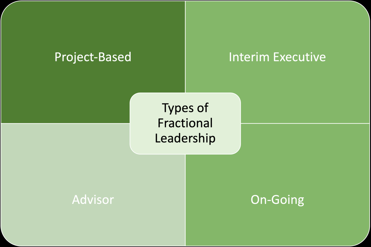 Fractional hr leadership