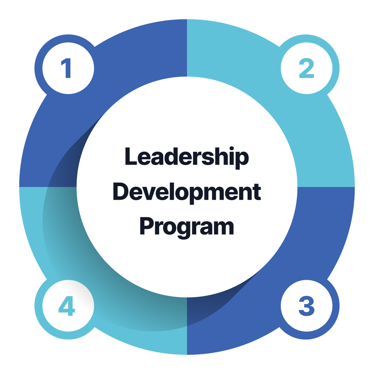 Leadership and management development