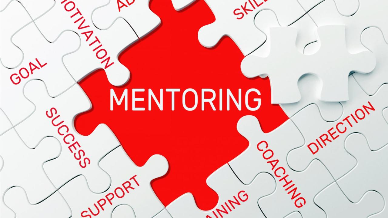 Leadership mentoring program