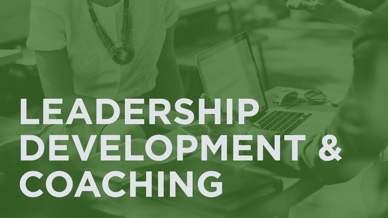 Leadership development and coaching